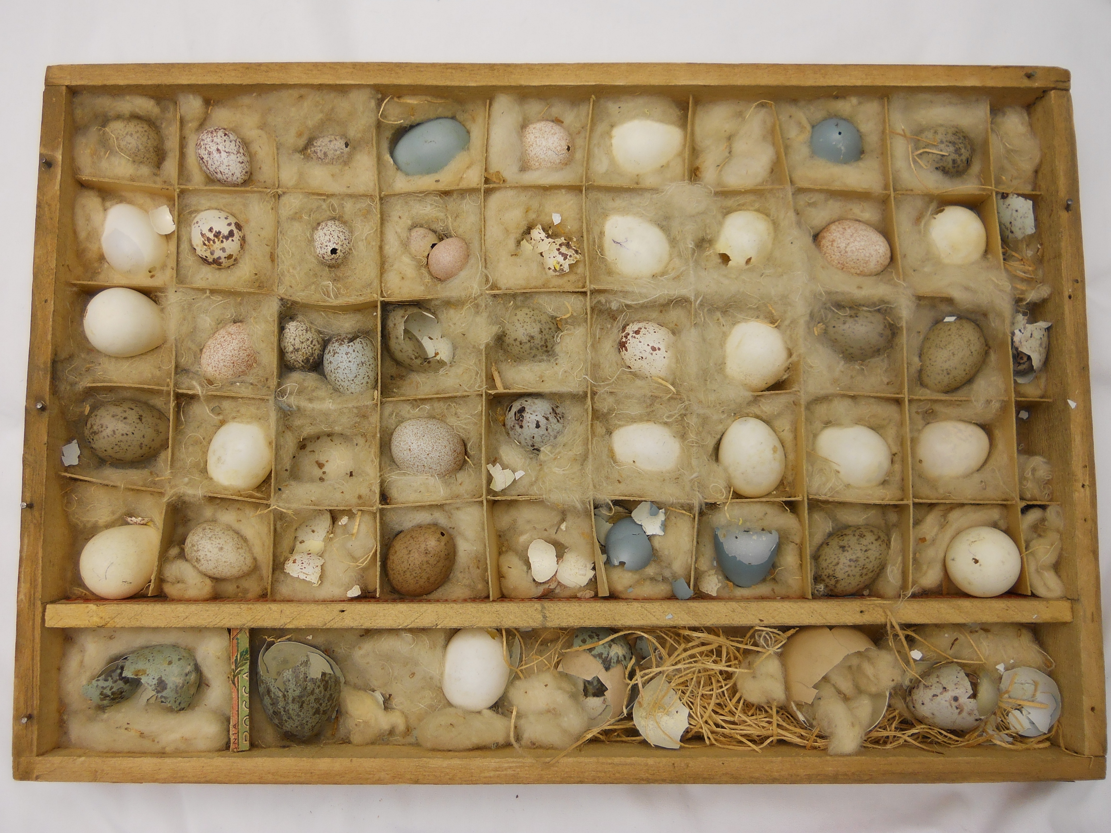 Egg Artifacts in the Museum Collection - Lambton County Museums